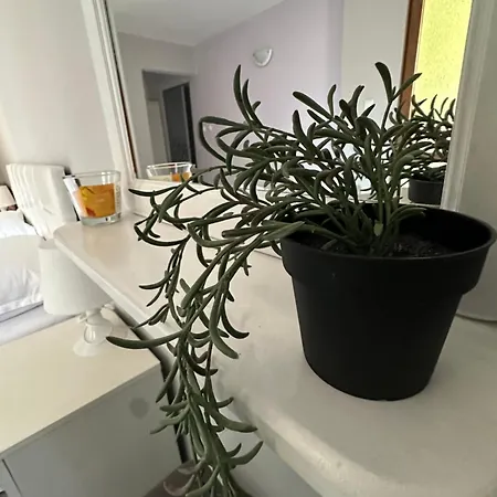 La Kameya Kiten (Burgas)