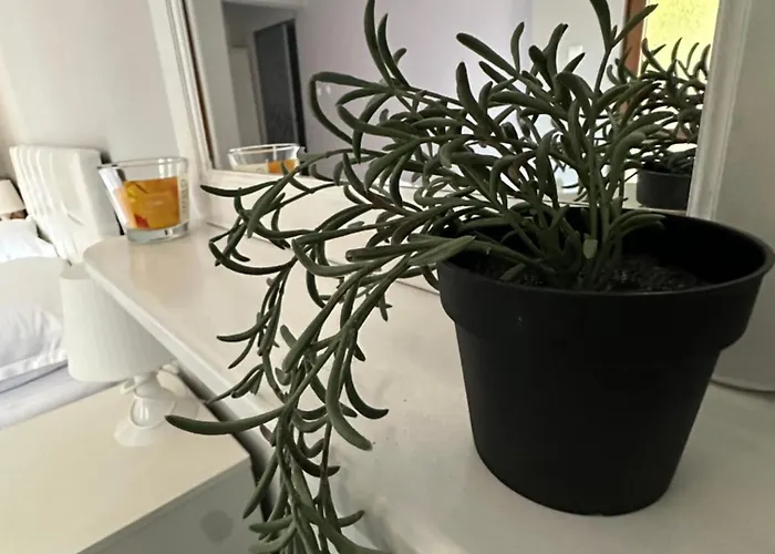 La Kameya Китен