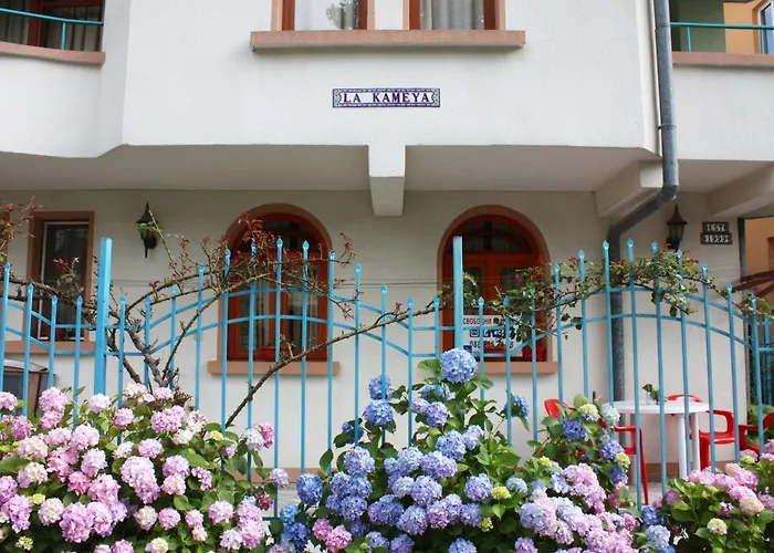 La Kameya 2* Китен